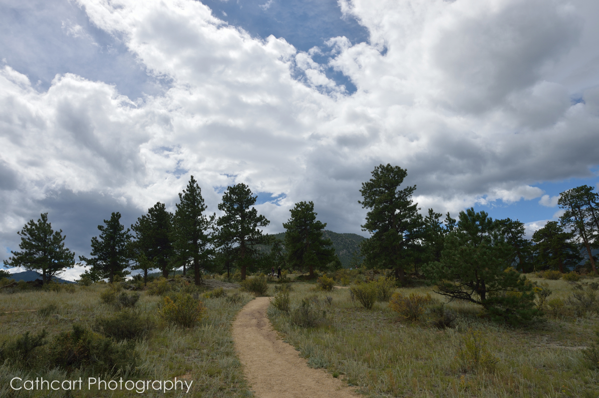 Estes Park 2014