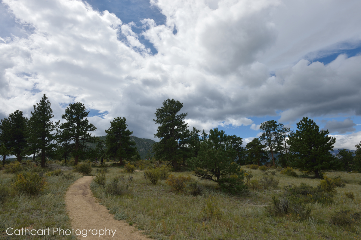 The Pathway to LaFountain Life