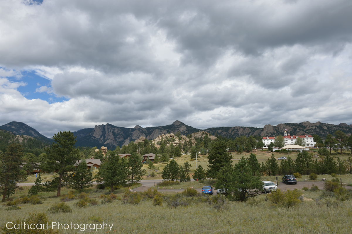 D41_3213_005