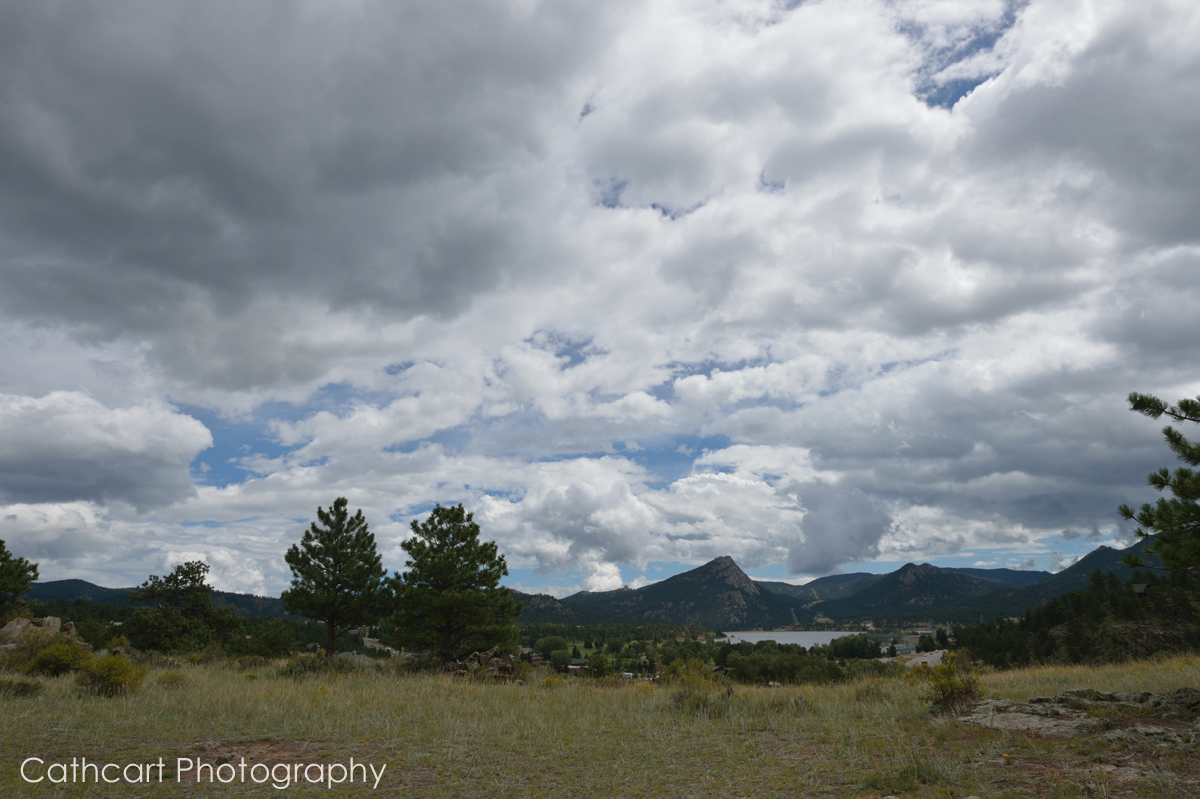 D41_3239_031